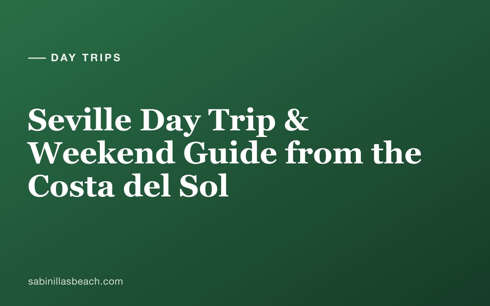 Plaza de España in Seville with its tiled alcoves and curved canal, a day trip from Sabinillas on the Costa del Sol